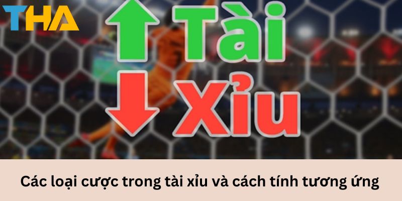 Cách Tính Tài Xỉu Chuẩn Xác Từ Cơ Bản Đến Nâng Cao 9 Các loại cược trong tài xỉu và cách tính tương ứng.