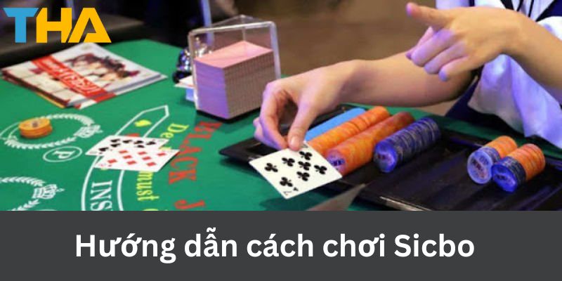 Cách Chơi Sicbo - Bí Quyết Chinh Phục Trò Chơi Tại Thienhabet 3 Hướng dẫn cách chơi Sicbo