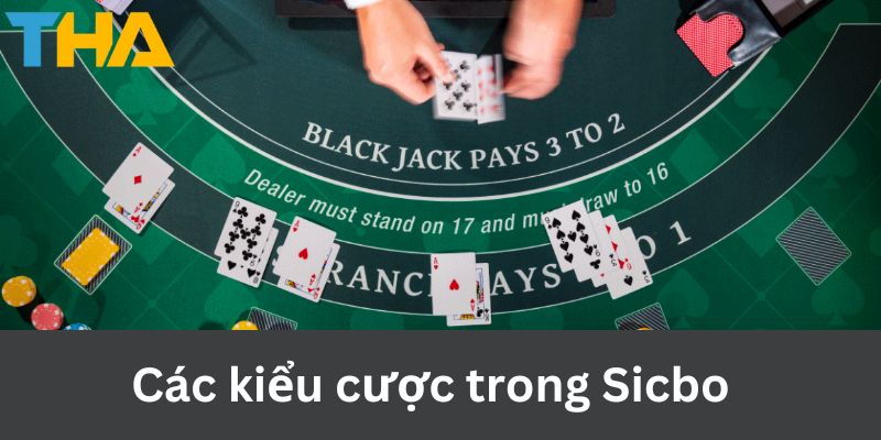 Cách Chơi Sicbo - Bí Quyết Chinh Phục Trò Chơi Tại Thienhabet 4 Các kiểu cược trong Sicbo