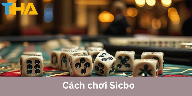 Các anh em cùng tìm hiểu góp ý chơi Sibco