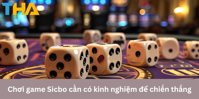 Chơi game Sicbo cần có kinh nghiệm chơi Sicbo để chiến thắng