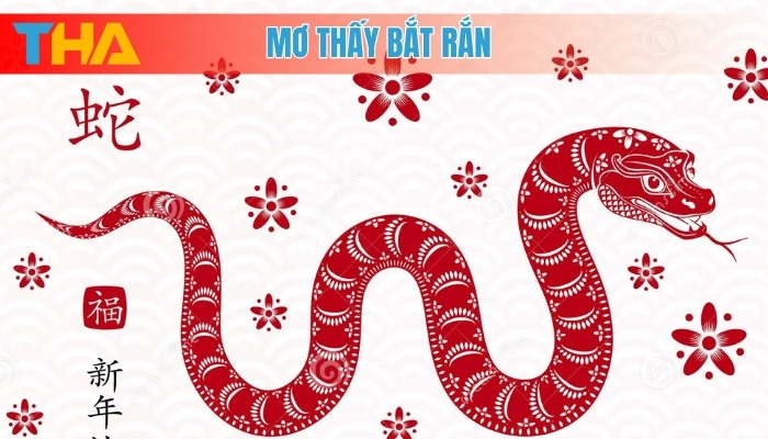 Mơ Thấy Bắt Rắn Giải Mã Điềm Báo và 15 Cặp Số May Mắn 8 Mơ thấy bắt rắn