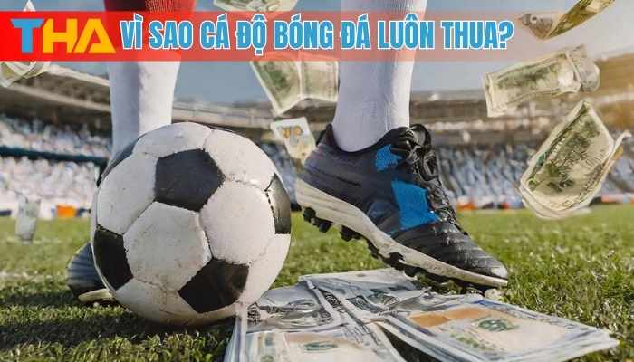 Vì Sao Cá Độ Bóng Đá Luôn Thua? Giải Mã Bí Mật Thua Lỗ Mới Nhất 2025 8 Vì sao cá độ bóng đá luôn thua?