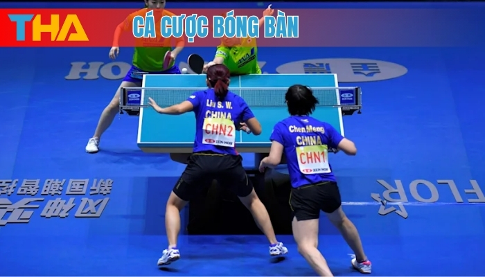 Cá Cược Bóng Bàn Thắng Lớn 2025 Cùng Thiên Hạ Bet 8 Cá cược bóng bàn