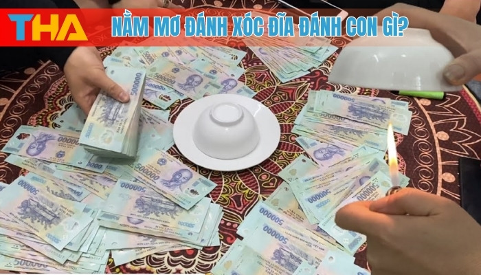 Nằm Mơ Đánh Xóc Đĩa Đánh Con Gì? Giải Mã Giấc Mơ 2025 8 Nằm mơ đánh xóc đĩa đánh con gì?