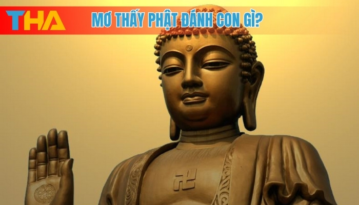 Mơ thấy nhiều rắn