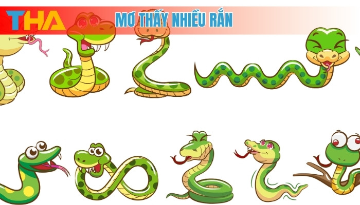 Mơ thấy nhiều rắn
