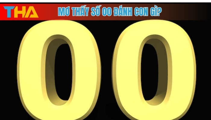 Mơ thấy số 00 đánh con gì?