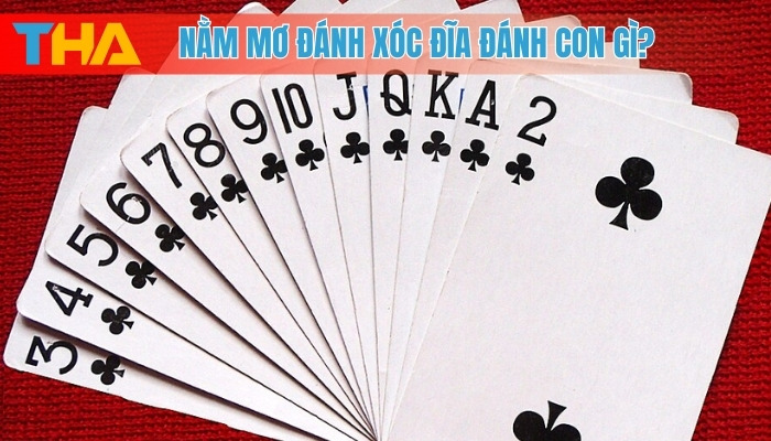 Nằm mơ thấy đánh bài tiến lên: Ý nghĩa và điềm báo cần biết 2025 5 Nằm mơ đánh xóc đĩa đánh con gì?